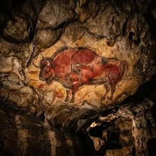 Pintura rupestre de bisonte en la cueva de Altamira